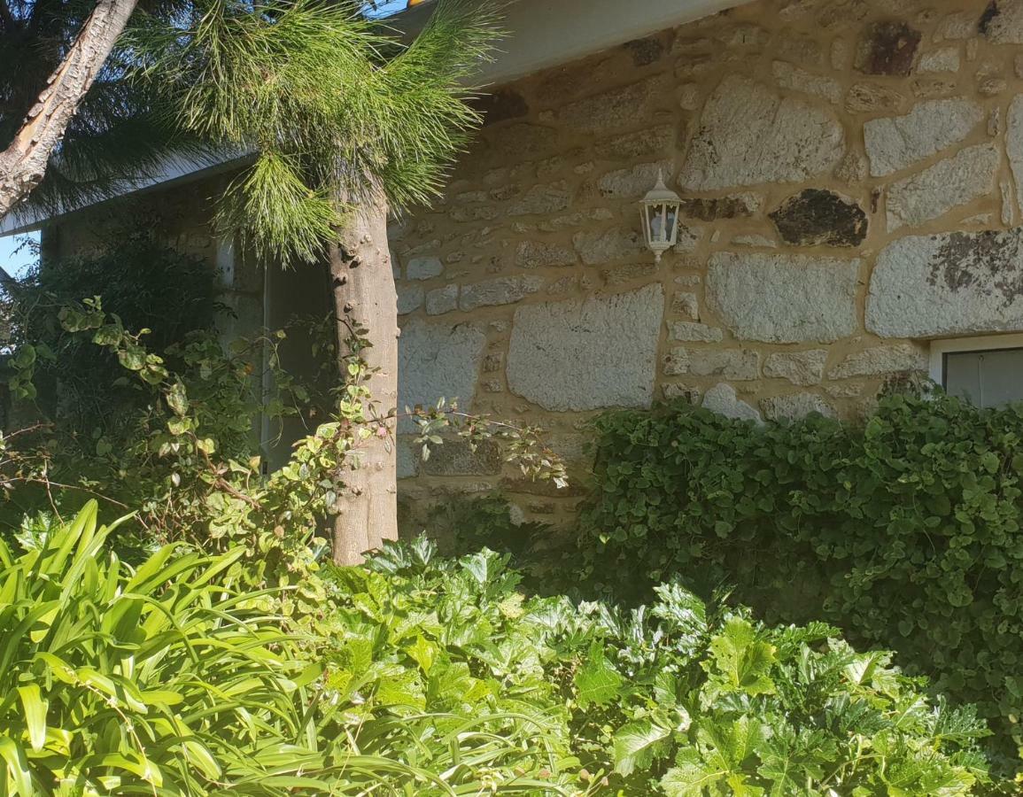 Casa de Campo - Olive House Areias de Vilar Exterior foto